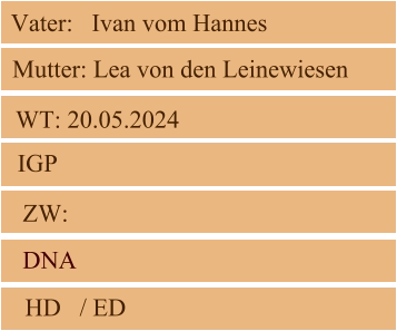 WT: 20.05.2024  ZW:  IGP   DNA   HD   / ED   Mutter: Lea von den Leinewiesen Vater:   Ivan vom Hannes